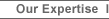Our Expertise